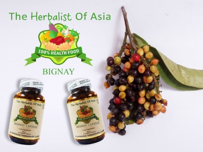 The Herbalist Of Asia  Bignay Capsule 500mg 90 Vegetarian Capsules