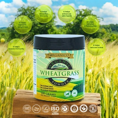 ORGANICO Organic WheatGrass Powder 100g