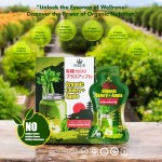 Mejie Organic Celery + Apple 10 Sachets 18g