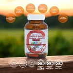 iBeauty Science Vitamin C Sodium Ascorbate + Rosehips 500mg x  30 Capsules