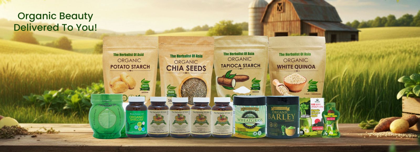 viber_image_2026-02-13_14-25-32-928